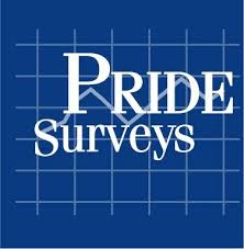 Pride Surveys
